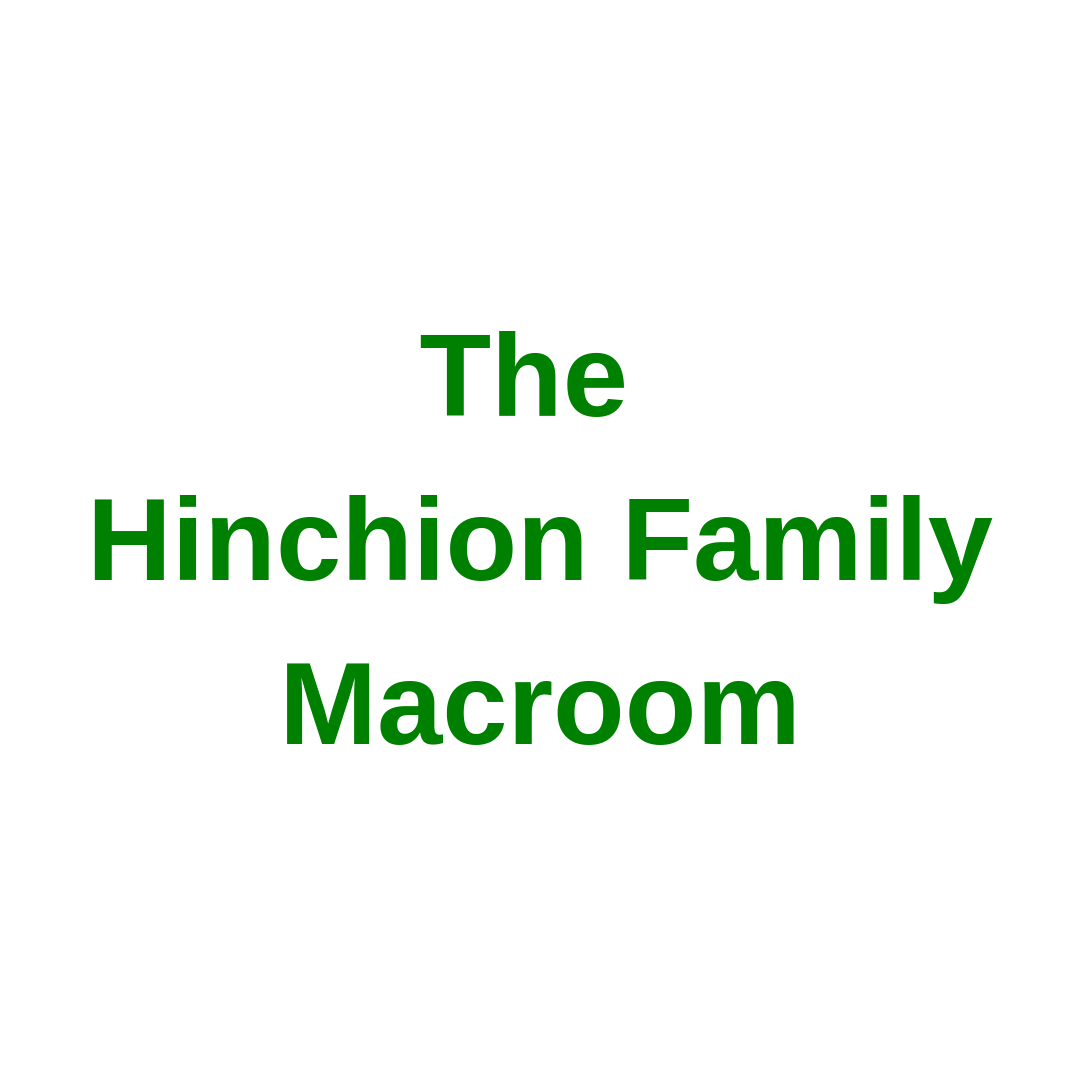 The Hinchion Family
